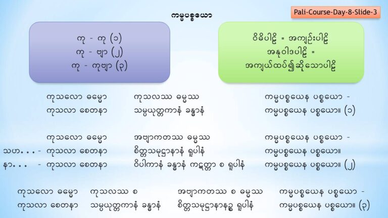 PALI Course Day- 9 Slide3