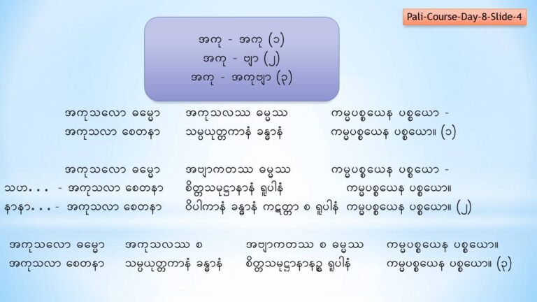 PALI Course Day- 9 Slide4