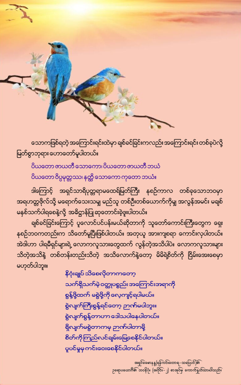 Eupya - 17