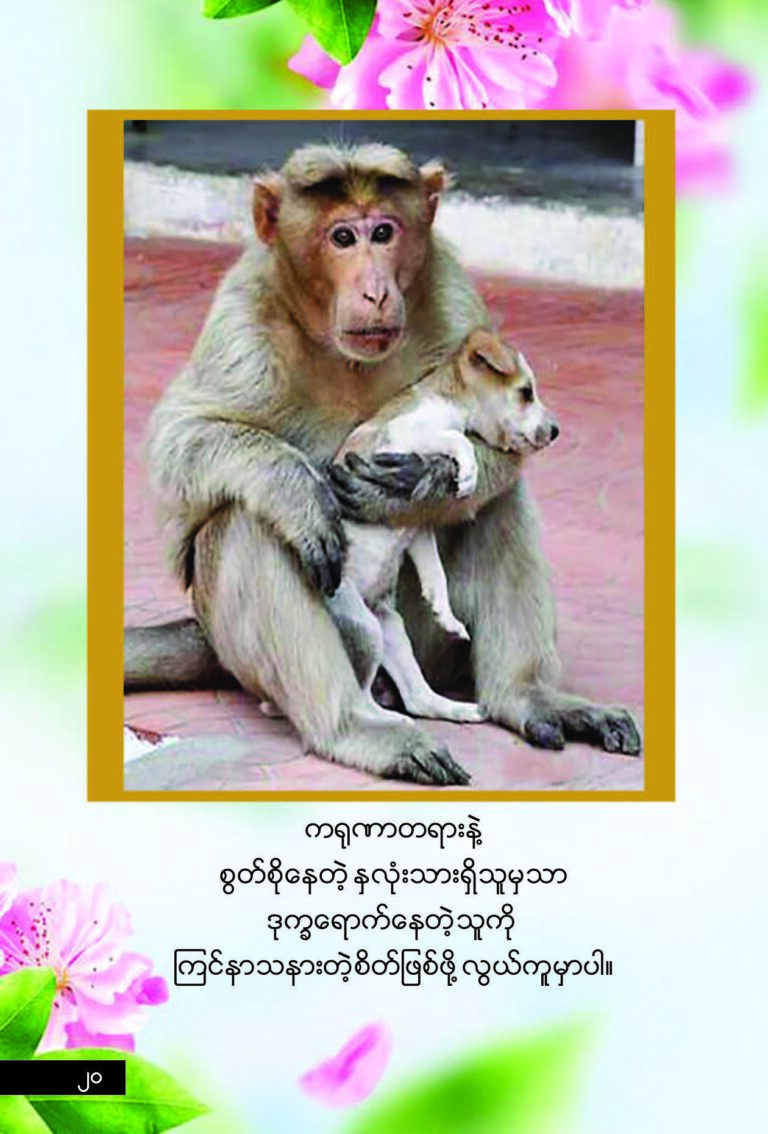 Compassion Book_Page_26