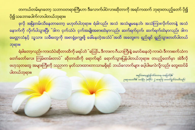 Warm yellow plumeria flower in green garden background - flower in nature background concept