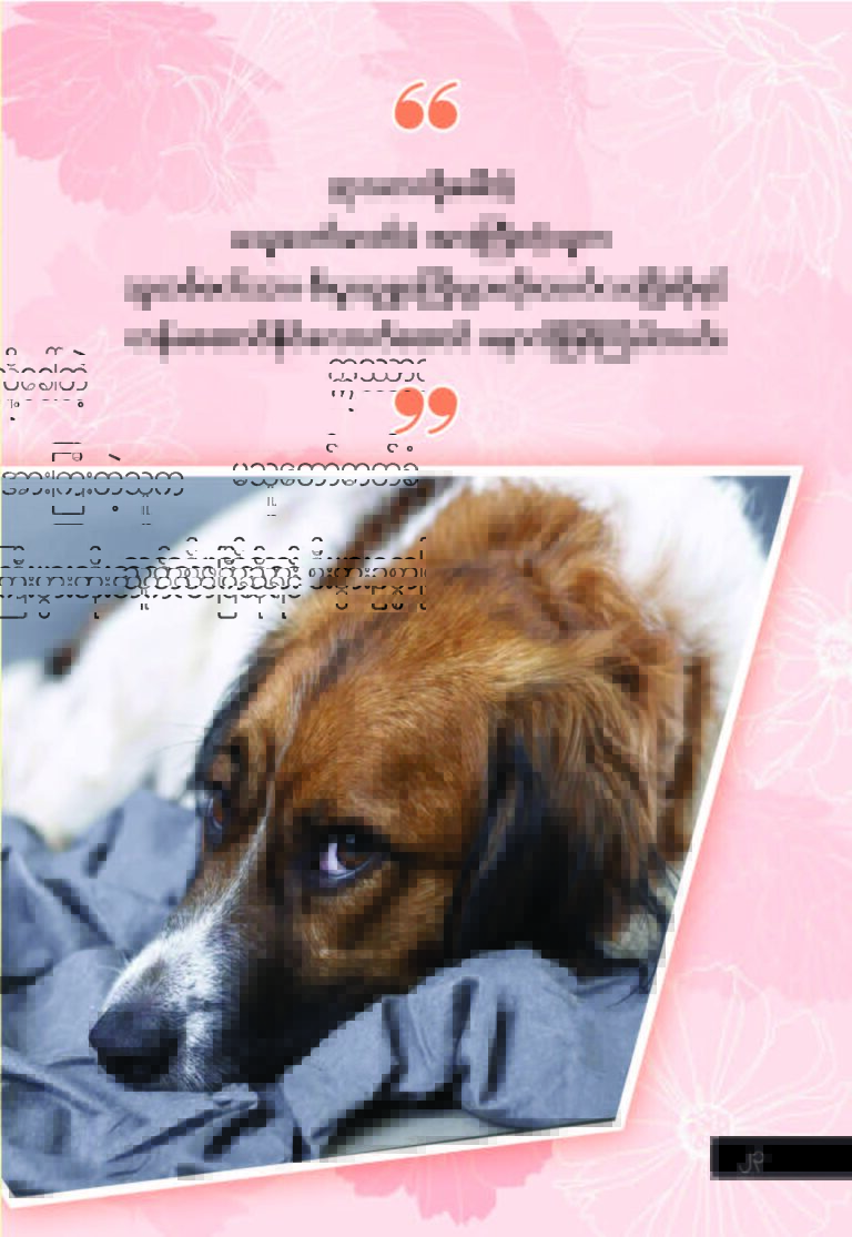 Sympathetic Joy (Mudita) မုဒိတာတရား